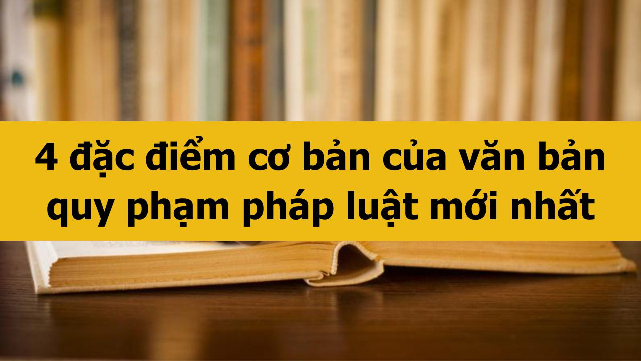 4 đặc điểm cơ bản của văn bản quy phạm ph&aacute;p luật mới nhất 2025
