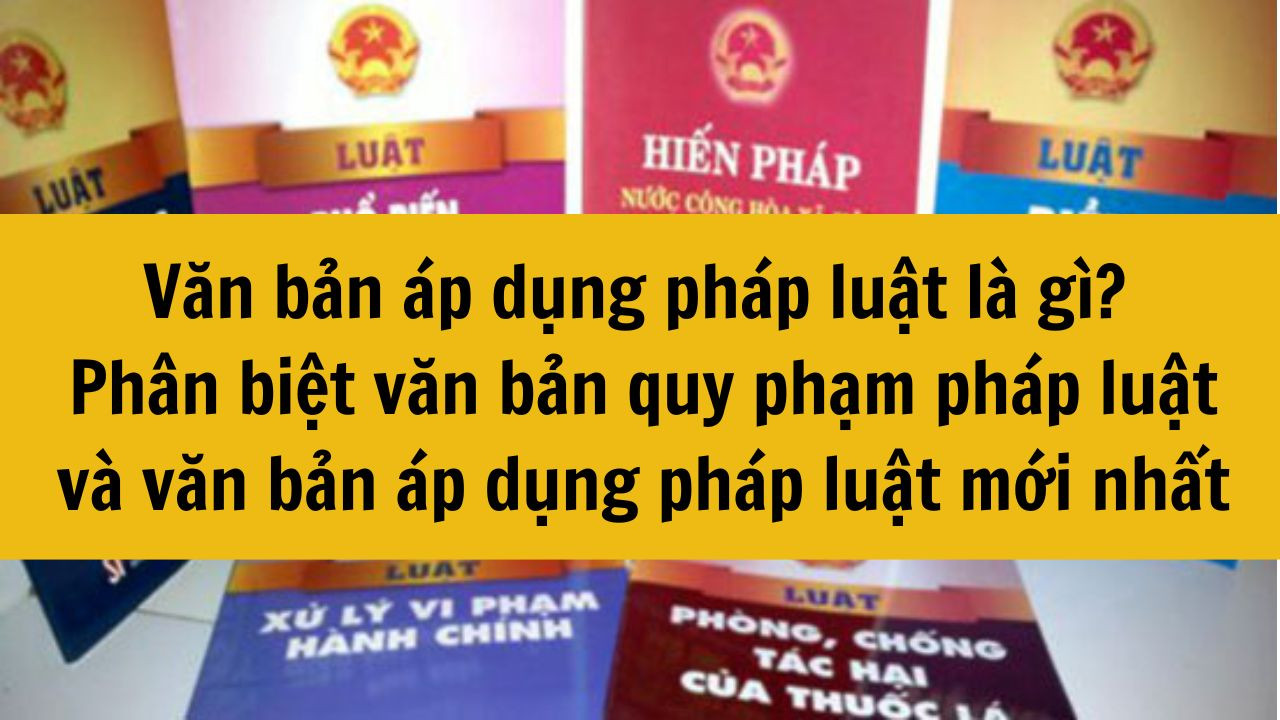 Văn bản &aacute;p dụng ph&aacute;p luật l&agrave; g&igrave;? Ph&acirc;n biệt văn bản quy phạm ph&aacute;p luật v&agrave; văn bản &aacute;p dụng ph&aacute;p luật mới nhất 2025