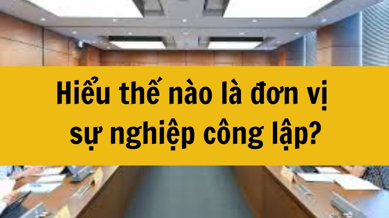 Hiểu thế n&agrave;o l&agrave; đơn vị sự nghiệp c&ocirc;ng lập?