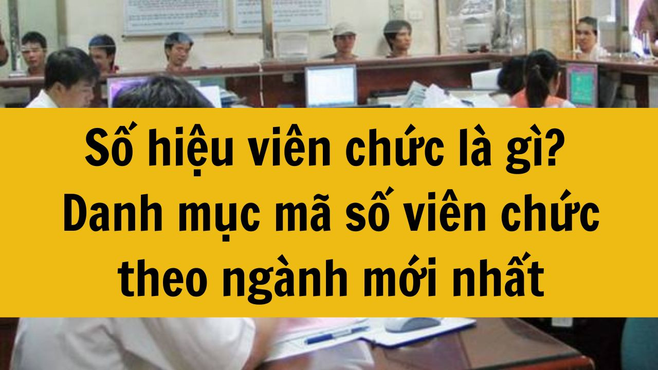 Số hiệu vi&ecirc;n chức l&agrave; g&igrave;? Danh mục m&atilde; số vi&ecirc;n chức theo ng&agrave;nh mới nhất 2025