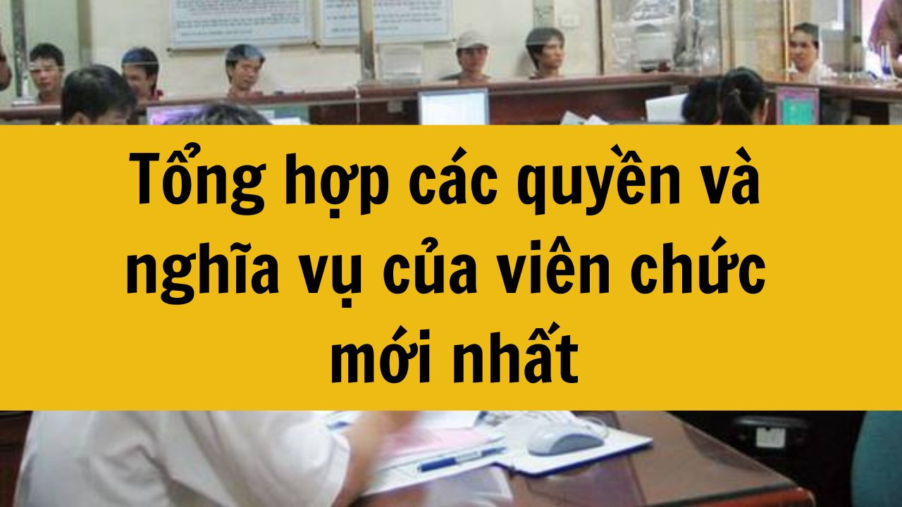 Tổng hợp c&aacute;c quyền v&agrave; nghĩa vụ của vi&ecirc;n chức mới nhất 2025