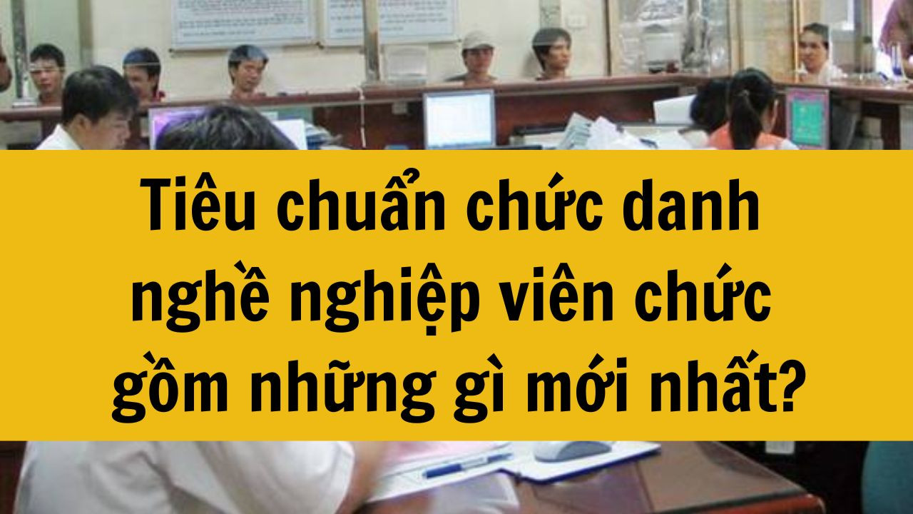 Ti&ecirc;u chuẩn chức danh nghề nghiệp vi&ecirc;n chức gồm những g&igrave; mới nhất 2025?
