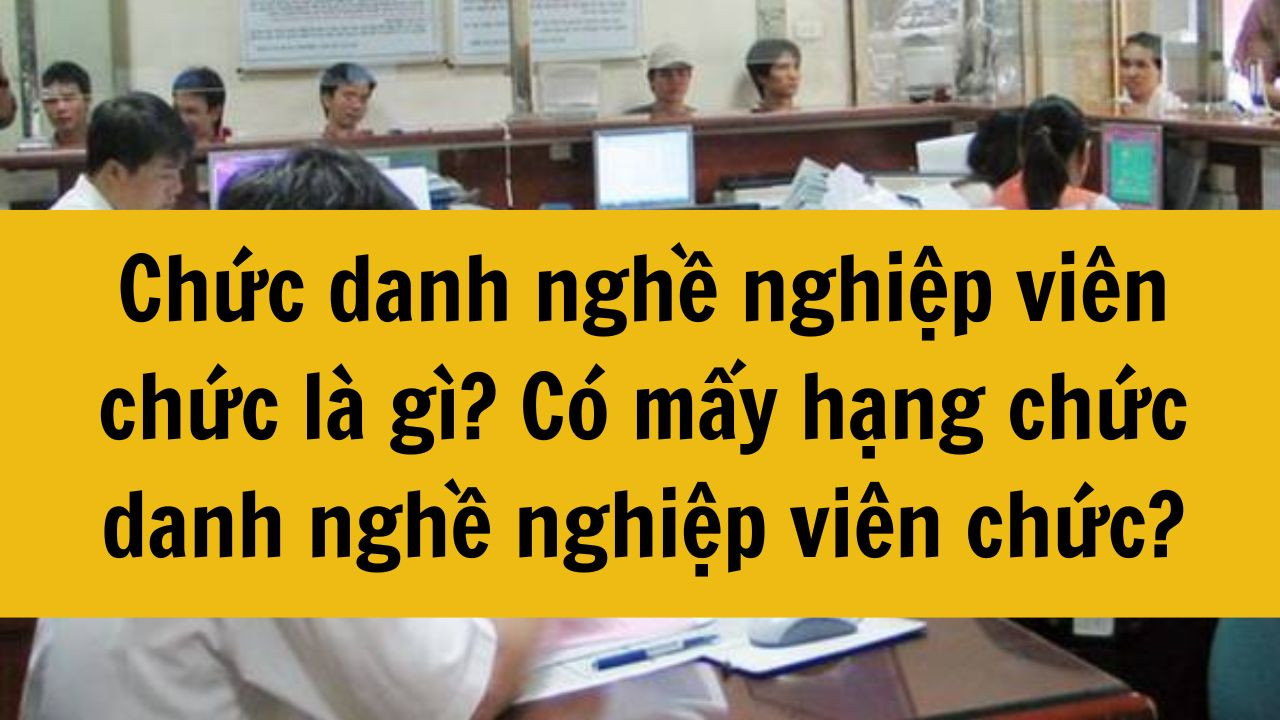Chức danh nghề nghiệp vi&ecirc;n chức l&agrave; g&igrave;? C&oacute; mấy hạng chức danh nghề nghiệp vi&ecirc;n chức?