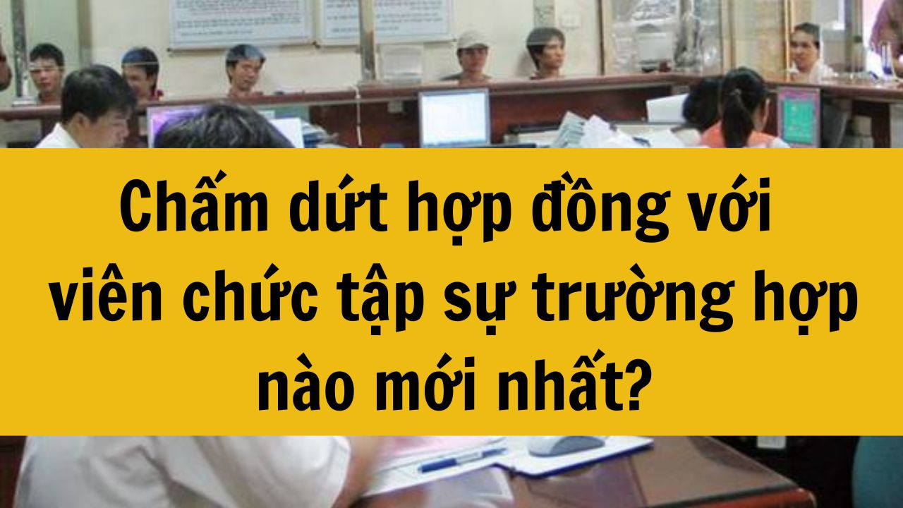 Chấm dứt hợp đồng với vi&ecirc;n chức tập sự trường hợp n&agrave;o mới nhất 2025?