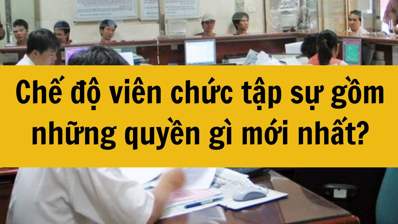 Chế độ vi&ecirc;n chức tập sự gồm những quyền g&igrave; mới nhất 2025?