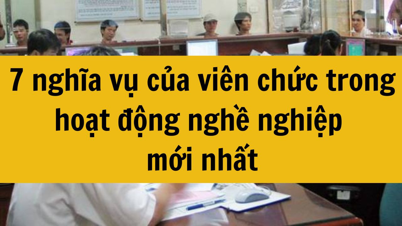 7 nghĩa vụ của vi&ecirc;n chức trong hoạt động nghề nghiệp mới nhất 2025