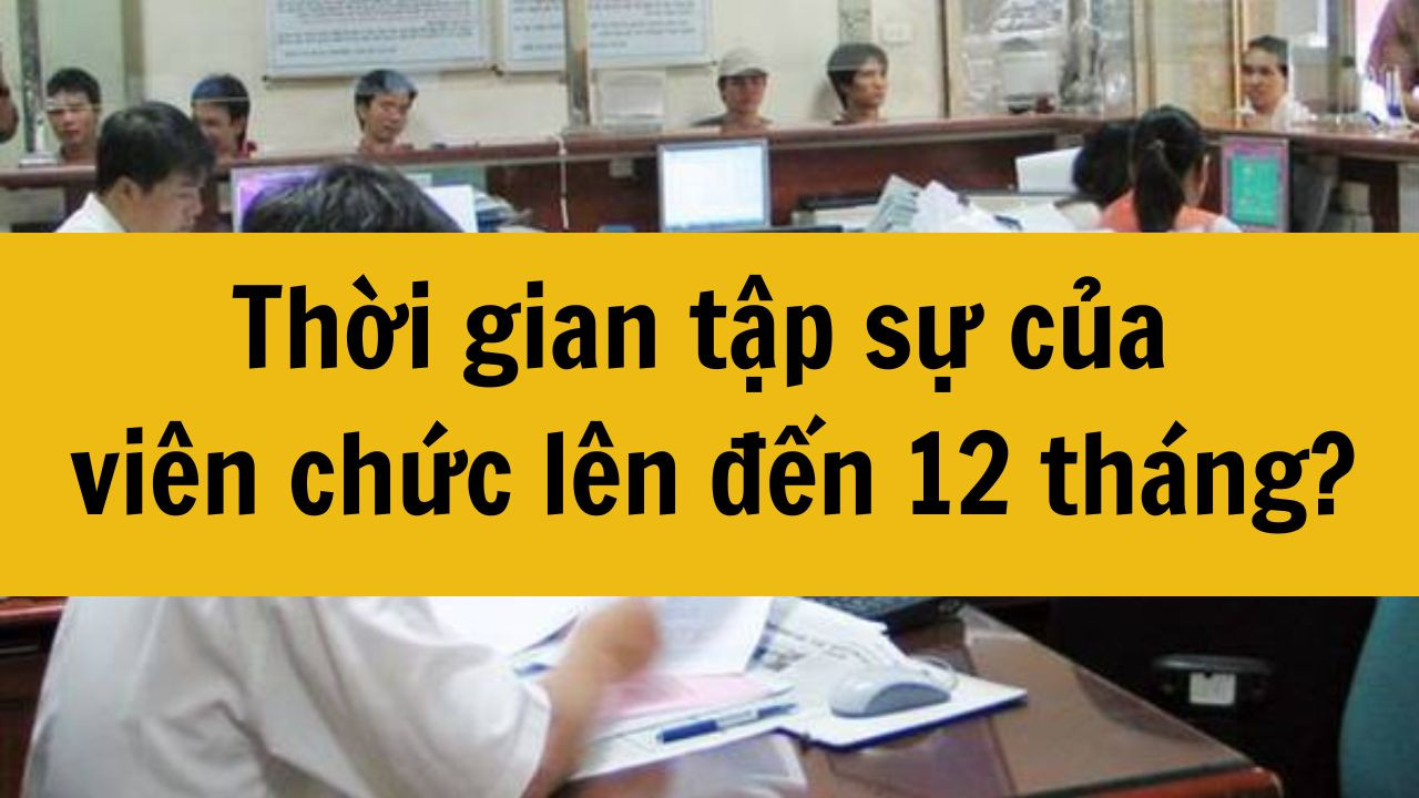 Thời gian tập sự của vi&ecirc;n chức l&ecirc;n đến 12 th&aacute;ng mới nhất 2025?