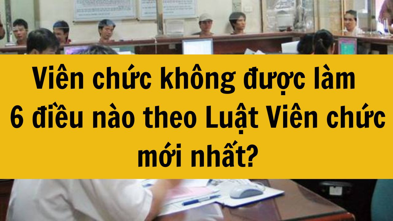 Vi&ecirc;n chức kh&ocirc;ng được l&agrave;m 6 điều n&agrave;o theo Luật Vi&ecirc;n chức mới nhất 2025?
