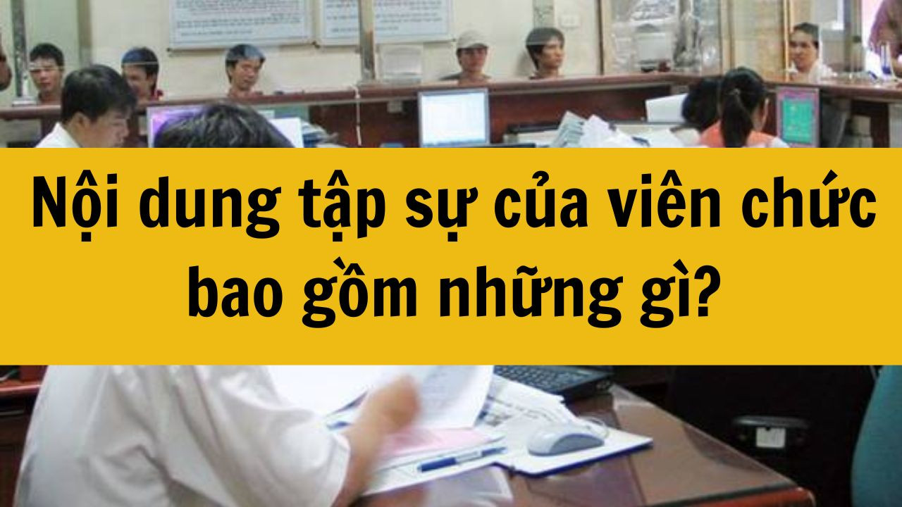 Nội dung tập sự của vi&ecirc;n chức bao gồm những g&igrave;?