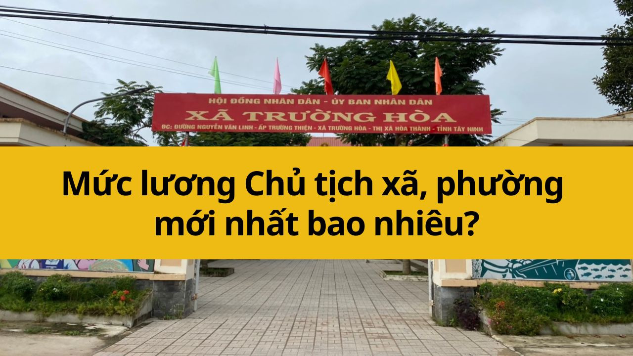 Mức lương Chủ tịch xã, phường mới nhất 2025 bao nhiêu?