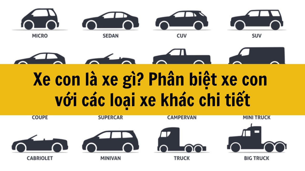 Xe con l&agrave; xe g&igrave; mới nhất 2025? Ph&acirc;n biệt xe con với c&aacute;c loại xe kh&aacute;c chi tiết