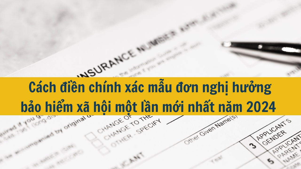 Cách điền chính xác mẫu đơn nghị hưởng bảo hiểm xã hội một lần mới nhất năm 2024 