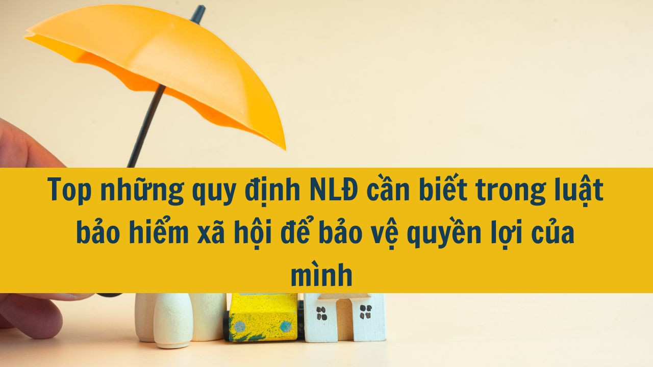 Top những quy định NLĐ cần biết trong luật bảo hiểm xã hội để bảo vệ quyền lợi của mình 