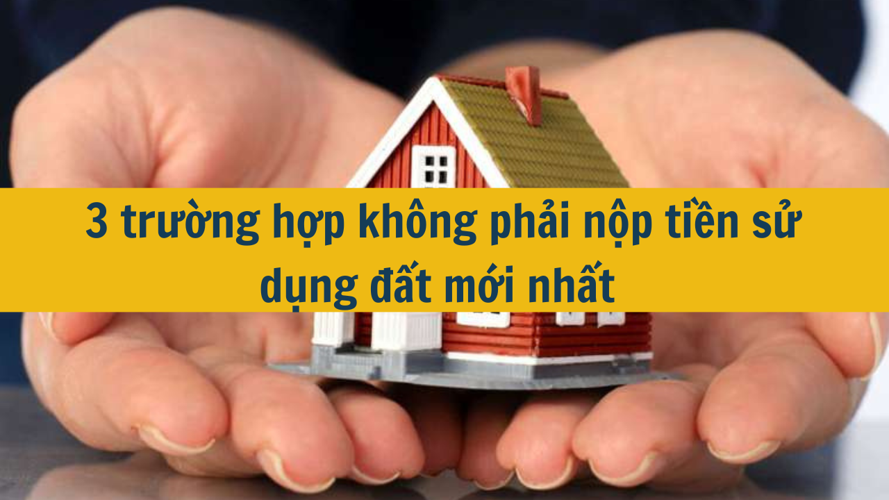 3 trường hợp không phải nộp tiền sử dụng đất mới nhất 2025 (ảnh 1)