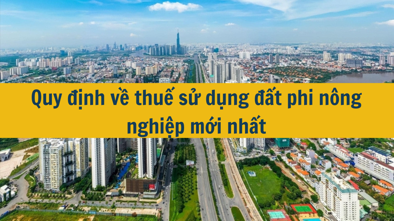 Quy định về thuế sử dụng đất phi nông nghiệp mới nhất 2025 (ảnh 1)