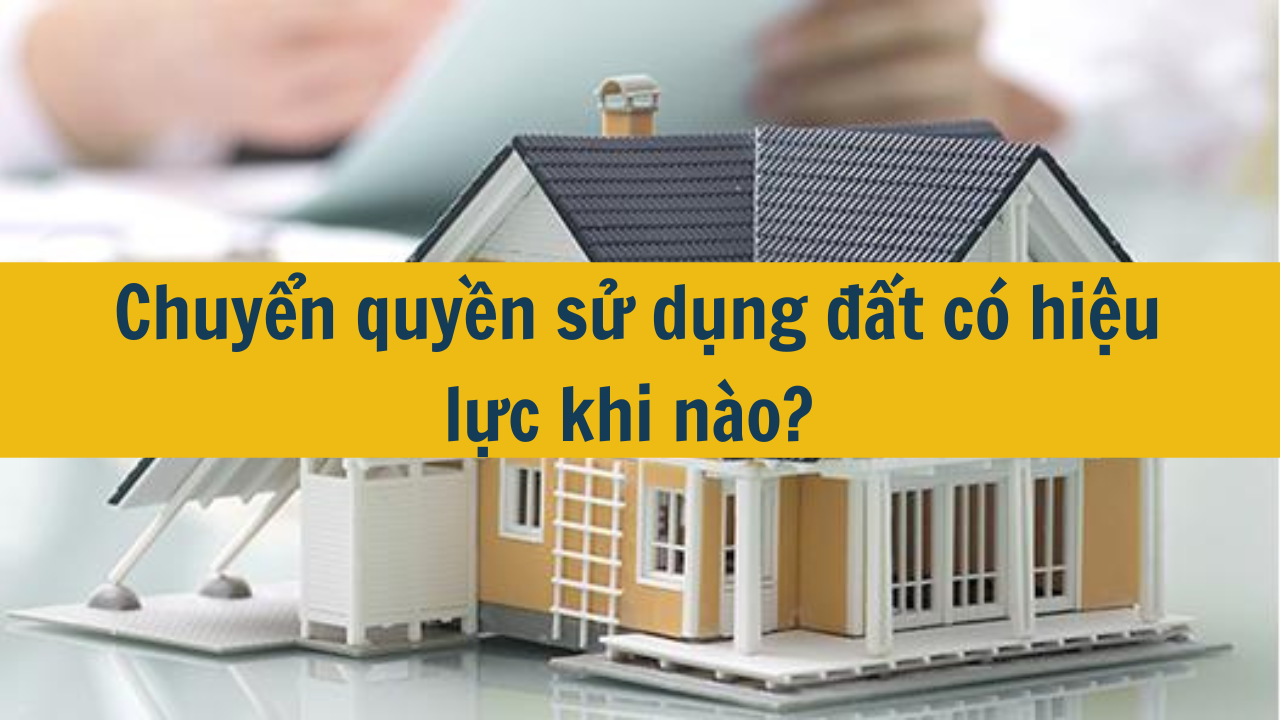 Chuyển quyền sử dụng đất có hiệu lực khi nào?  (ảnh 1)