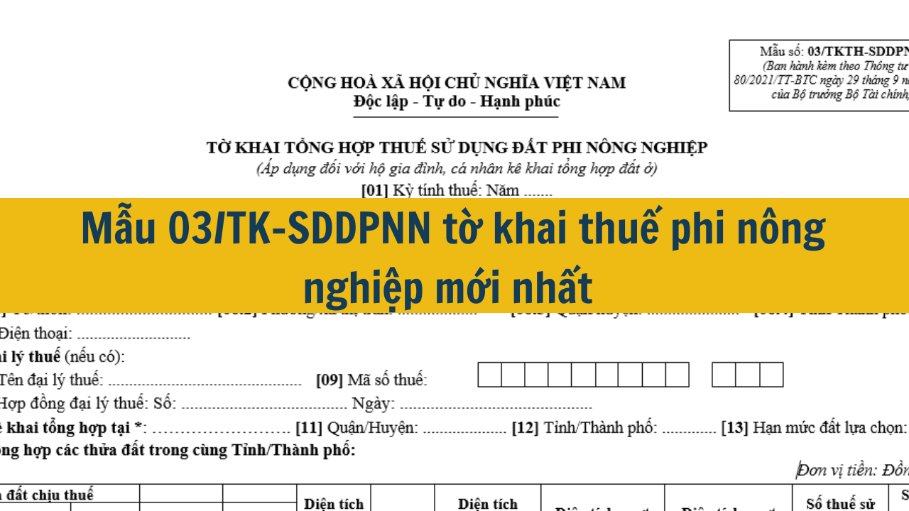 Mẫu 03/TK-SDDPNN tờ khai thuế phi nông nghiệp mới nhất 2025. (ảnh 1)