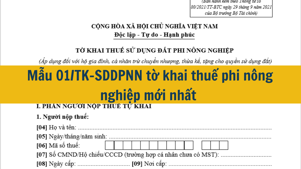 Mẫu 01/TK-SDDPNN tờ khai thuế phi nông nghiệp mới nhất 2025 (ảnh 1)