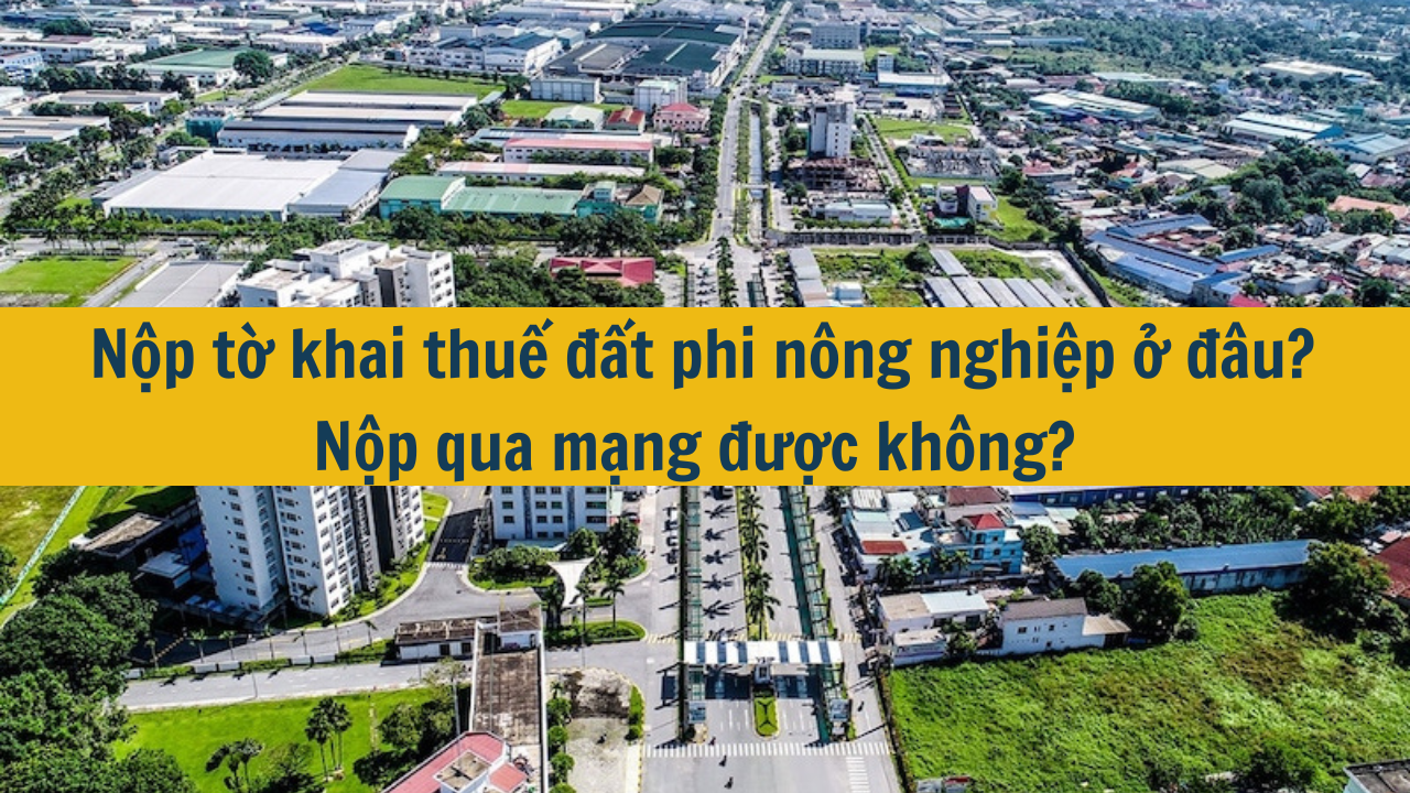 Nộp tờ khai thuế đất phi nông nghiệp ở đâu? Nộp qua mạng được không?  (ảnh 1)