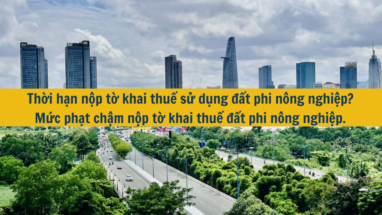 Thời hạn nộp tờ khai thuế sử dụng đất phi nông nghiệp? Mức phạt chậm nộp tờ khai thuế đất phi nông nghiệp. (ảnh 1)