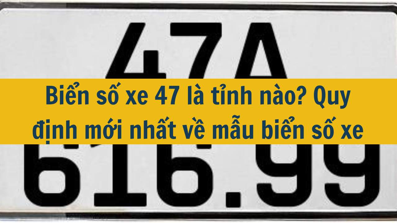 Biển số xe 47 là tỉnh nào? Quy định mới nhất 2025 về mẫu biển số xe (ảnh 1)