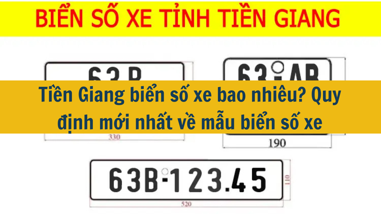 Tiền Giang biển số xe bao nhiêu? Quy định mới nhất 2025 về mẫu biển số xe (ảnh 1)