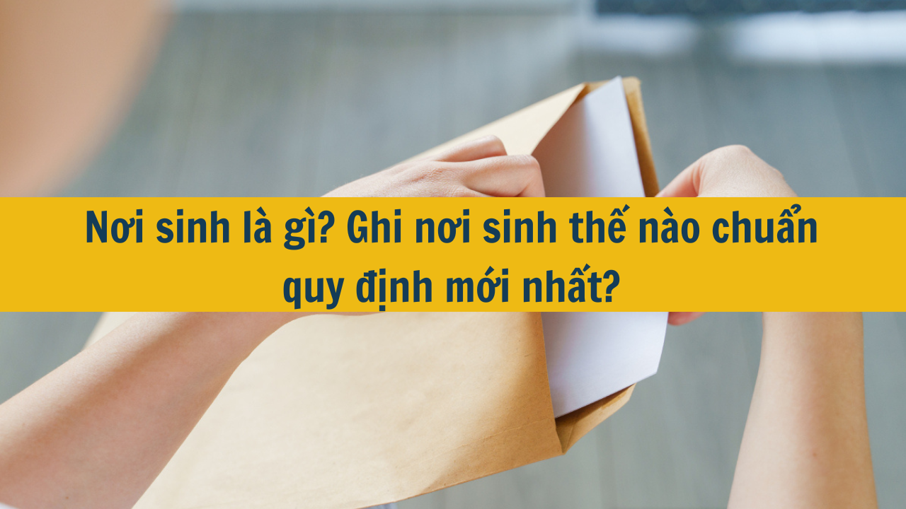 Nơi sinh là gì? Ghi nơi sinh thế nào chuẩn quy định mới nhất 2025? (ảnh 1)