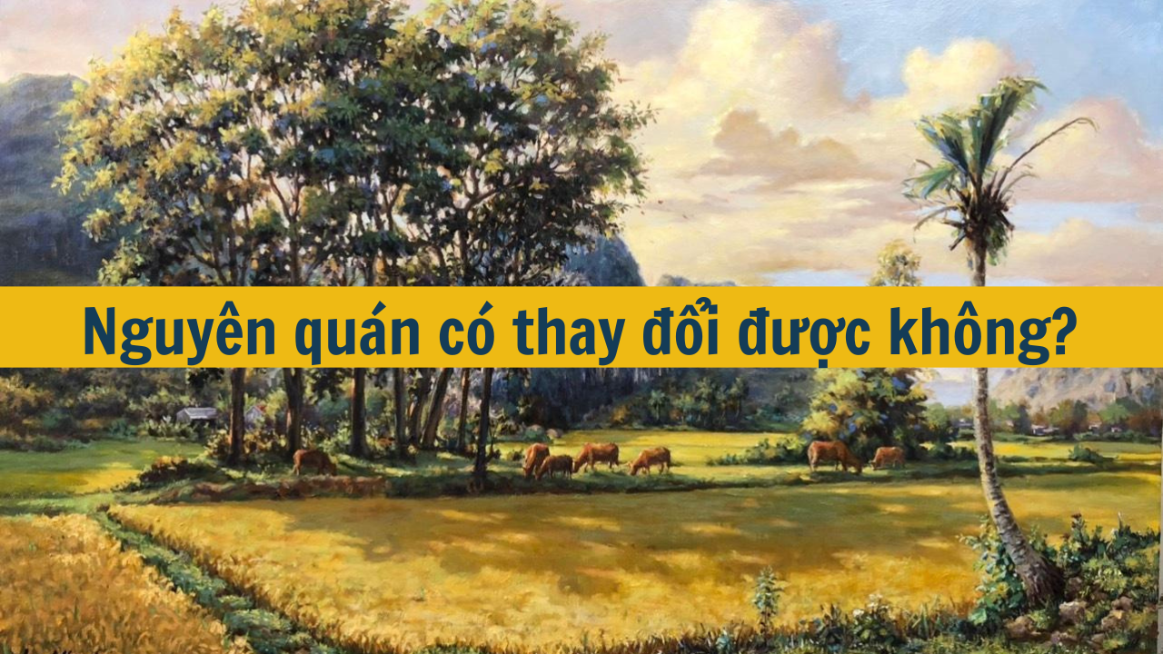 Nguyên quán có thay đổi được không? (ảnh 1)