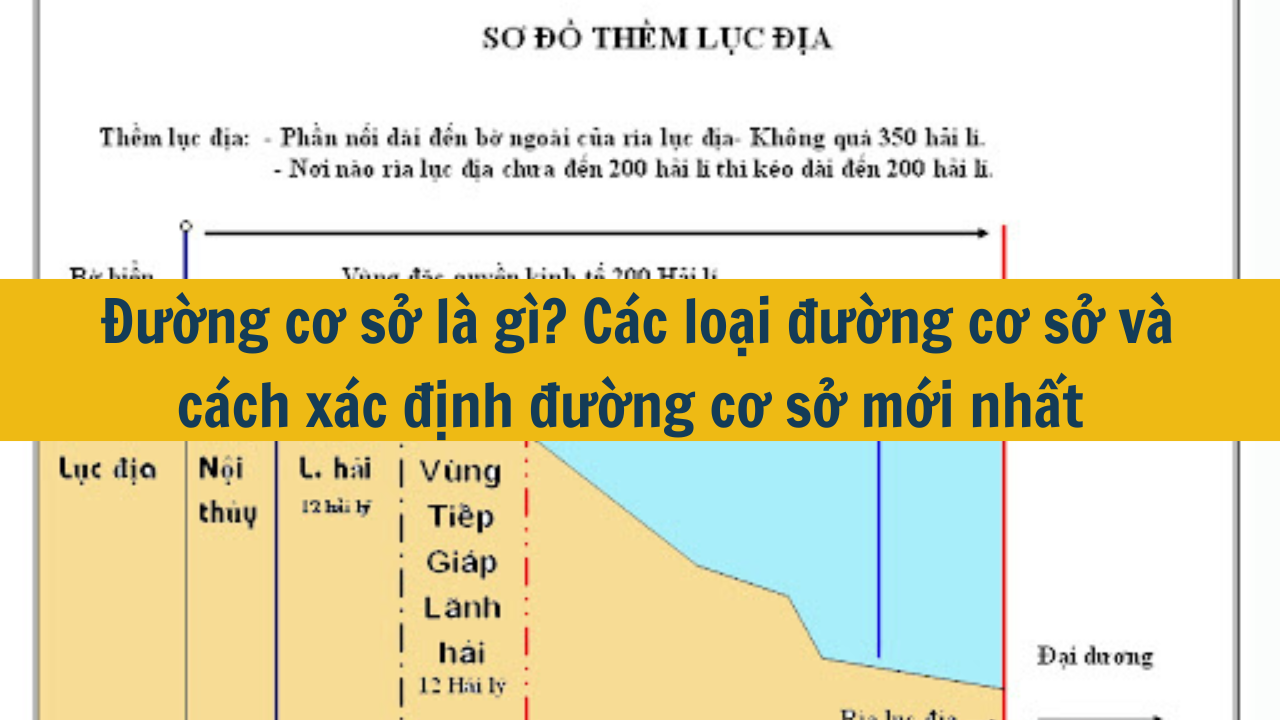 Đường cơ sở là gì? Các loại đường cơ sở và cách xác định đường cơ sở mới nhất 2025 (ảnh 1)