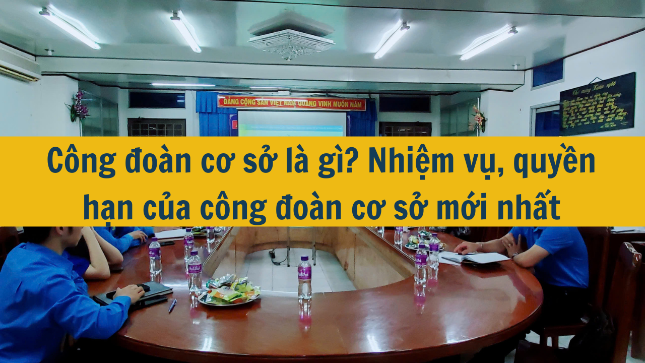 Công đoàn cơ sở là gì? Nhiệm vụ, quyền hạn của công đoàn cơ sở mới nhất 2025 (ảnh 1)