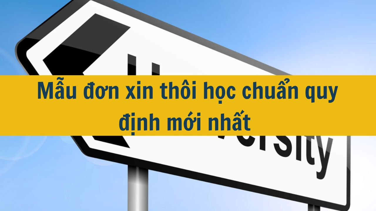 Mẫu đơn xin thôi học chuẩn quy định mới nhất 2025 (ảnh 1)