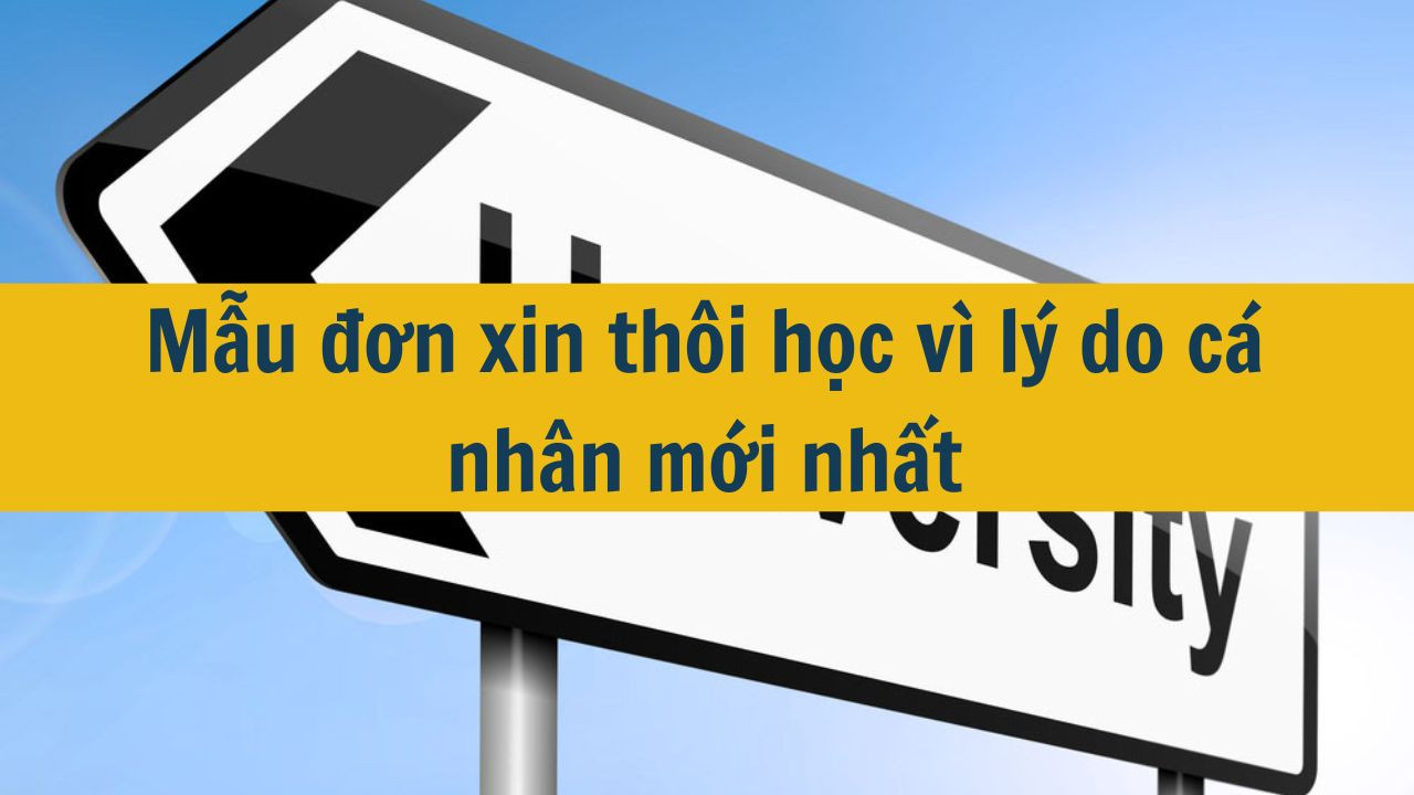 Mẫu đơn xin thôi học vì lý do cá nhân mới nhất 2025 (ảnh 1)