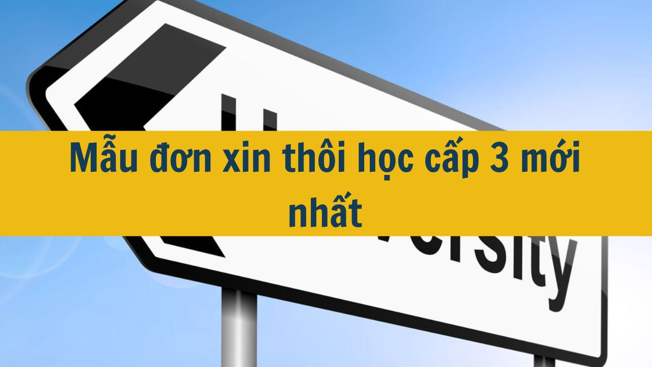 Mẫu đơn xin thôi học cấp 3 mới nhất 2025 (ảnh 1)