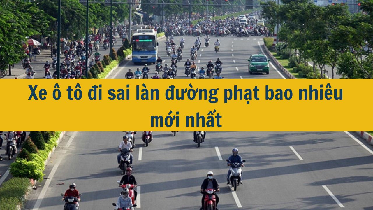 Xe &ocirc; t&ocirc; đi sai l&agrave;n đường phạt bao nhi&ecirc;u mới nhất 2025? (ảnh 1)
