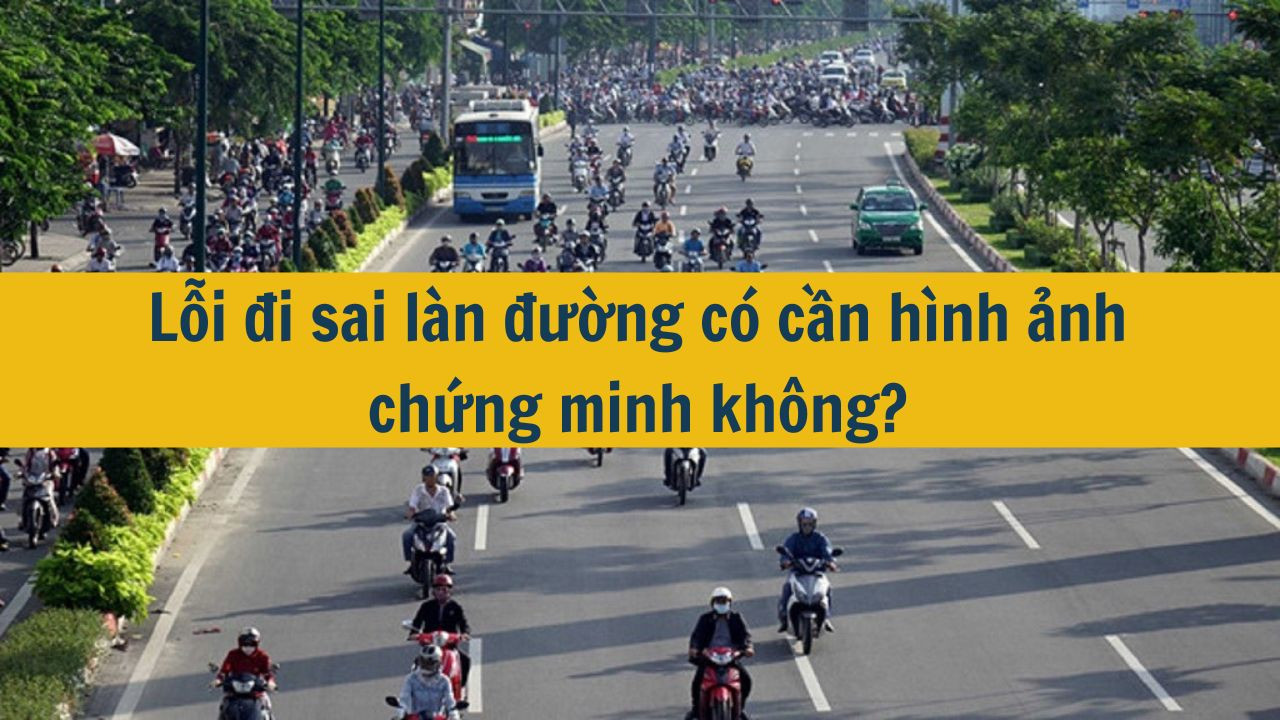Lỗi đi sai l&agrave;n đường c&oacute; cần h&igrave;nh ảnh chứng minh kh&ocirc;ng? (ảnh 1)