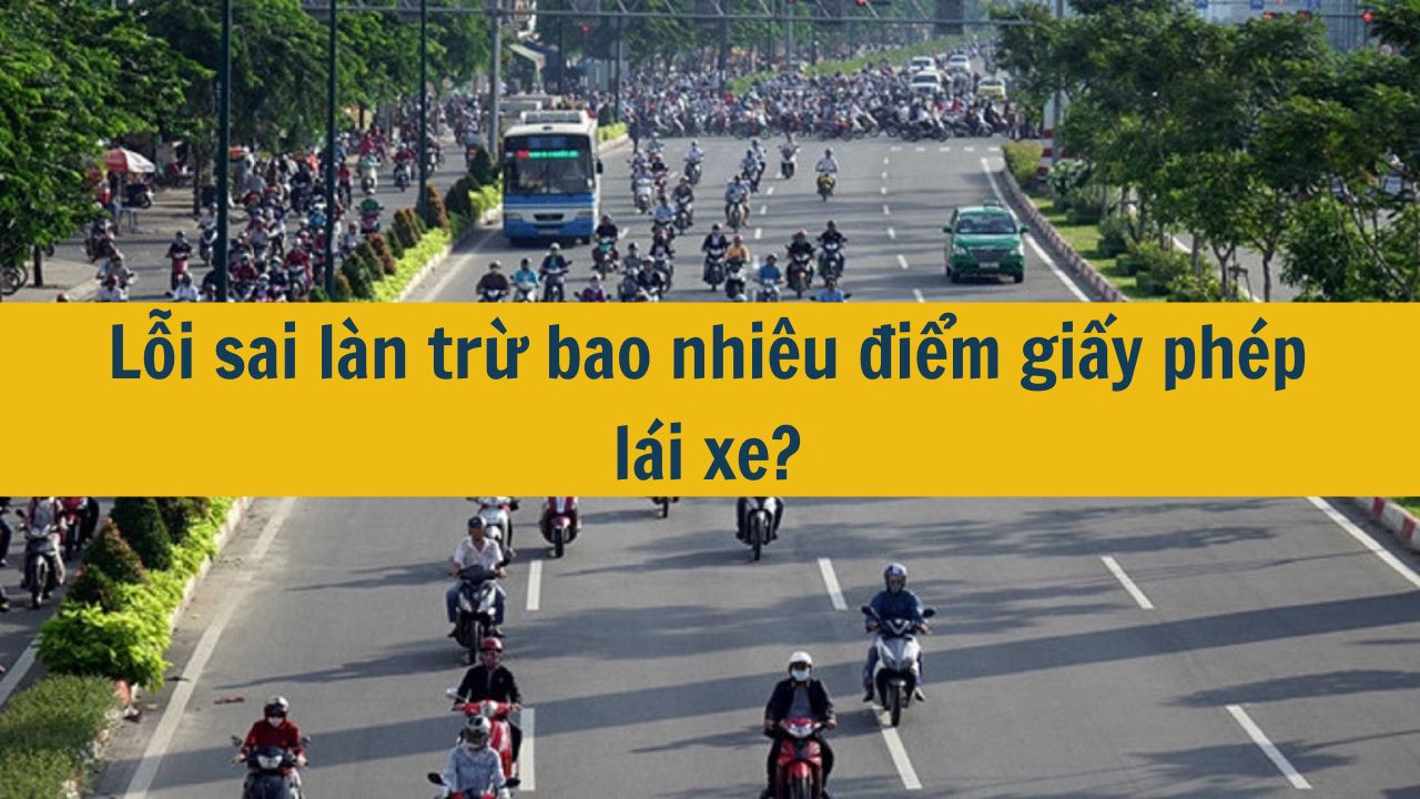 Lỗi sai l&agrave;n trừ bao nhi&ecirc;u điểm giấy ph&eacute;p l&aacute;i xe? (ảnh 1)