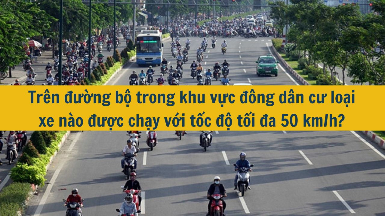 Tr&ecirc;n đường bộ trong khu vực đ&ocirc;ng d&acirc;n cư loại xe n&agrave;o được chạy với tốc độ tối đa 50 km/h? (ảnh 1)