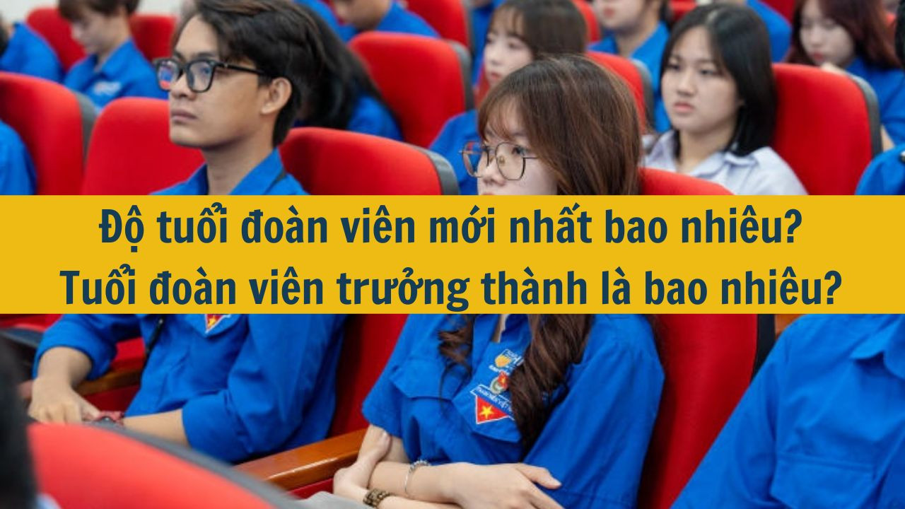 Độ tuổi đo&agrave;n vi&ecirc;n mới nhất 2025 bao nhi&ecirc;u? Tuổi đo&agrave;n vi&ecirc;n trưởng th&agrave;nh l&agrave; bao nhi&ecirc;u? (ảnh 1)
