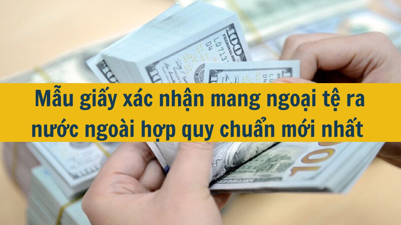 Mẫu giấy x&aacute;c nhận mang ngoại tệ ra nước ngo&agrave;i hợp quy chuẩn mới nhất 2025 (ảnh 1)