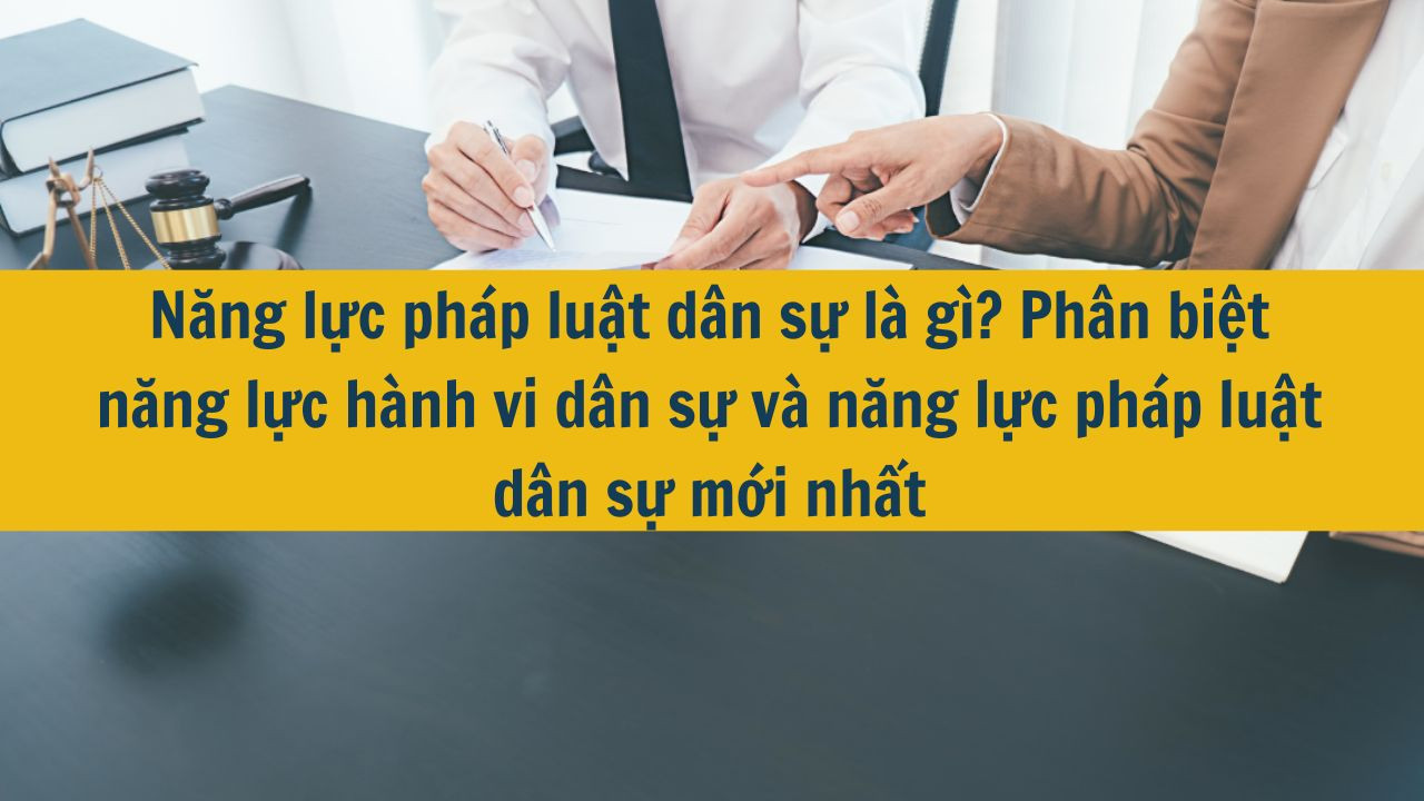 Năng lực ph&aacute;p luật d&acirc;n sự l&agrave; g&igrave;? Ph&acirc;n biệt năng lực h&agrave;nh vi d&acirc;n sự v&agrave; năng lực ph&aacute;p luật d&acirc;n sự mới nhất 2025? (ảnh 1)