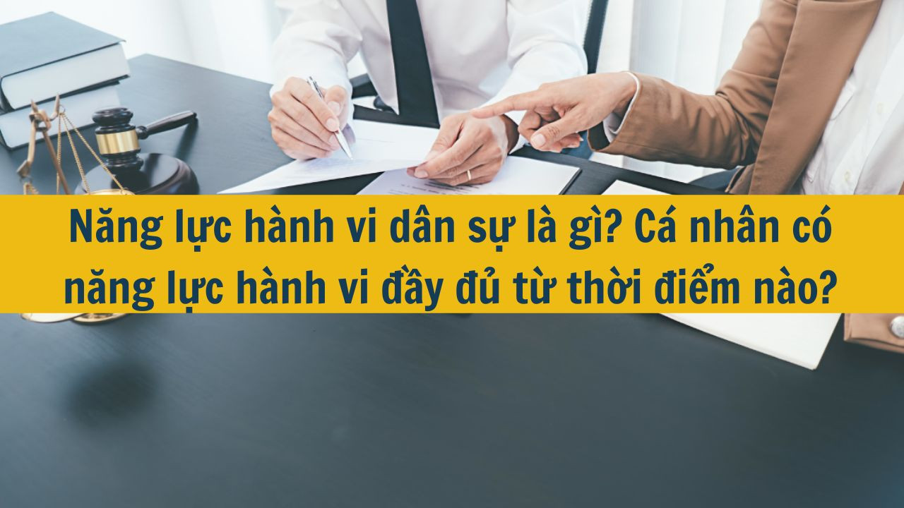 Năng lực h&agrave;nh vi d&acirc;n sự l&agrave; g&igrave;? C&aacute; nh&acirc;n c&oacute; năng lực h&agrave;nh vi đầy đủ từ thời điểm n&agrave;o? (ảnh 1)