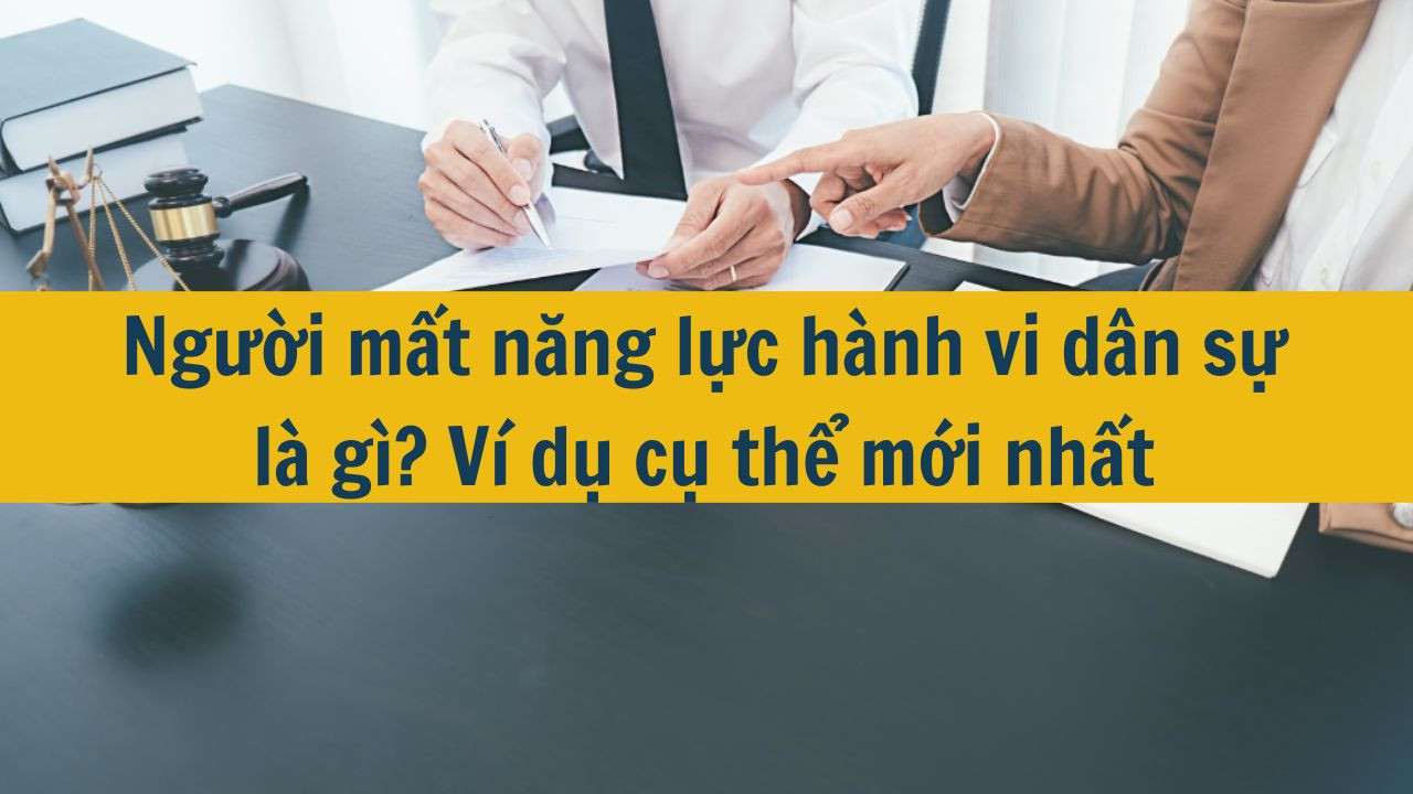 Người mất năng lực h&agrave;nh vi d&acirc;n sự l&agrave; g&igrave;? V&iacute; dụ cụ thể mới nhất 2025? (ảnh 1)