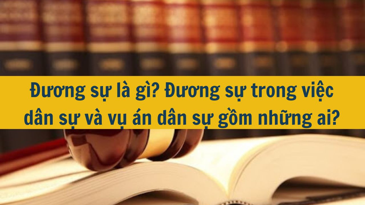 Đương sự l&agrave; g&igrave;? Đương sự trong việc d&acirc;n sự v&agrave; vụ &aacute;n d&acirc;n sự gồm những ai? (ảnh 1)