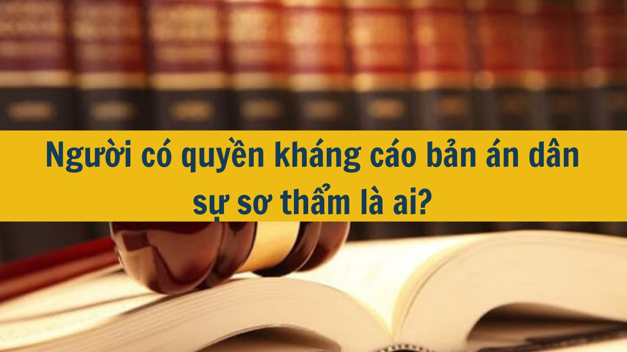 Người c&oacute; quyền kh&aacute;ng c&aacute;o bản &aacute;n d&acirc;n sự sơ thẩm l&agrave; ai? (ảnh 1)