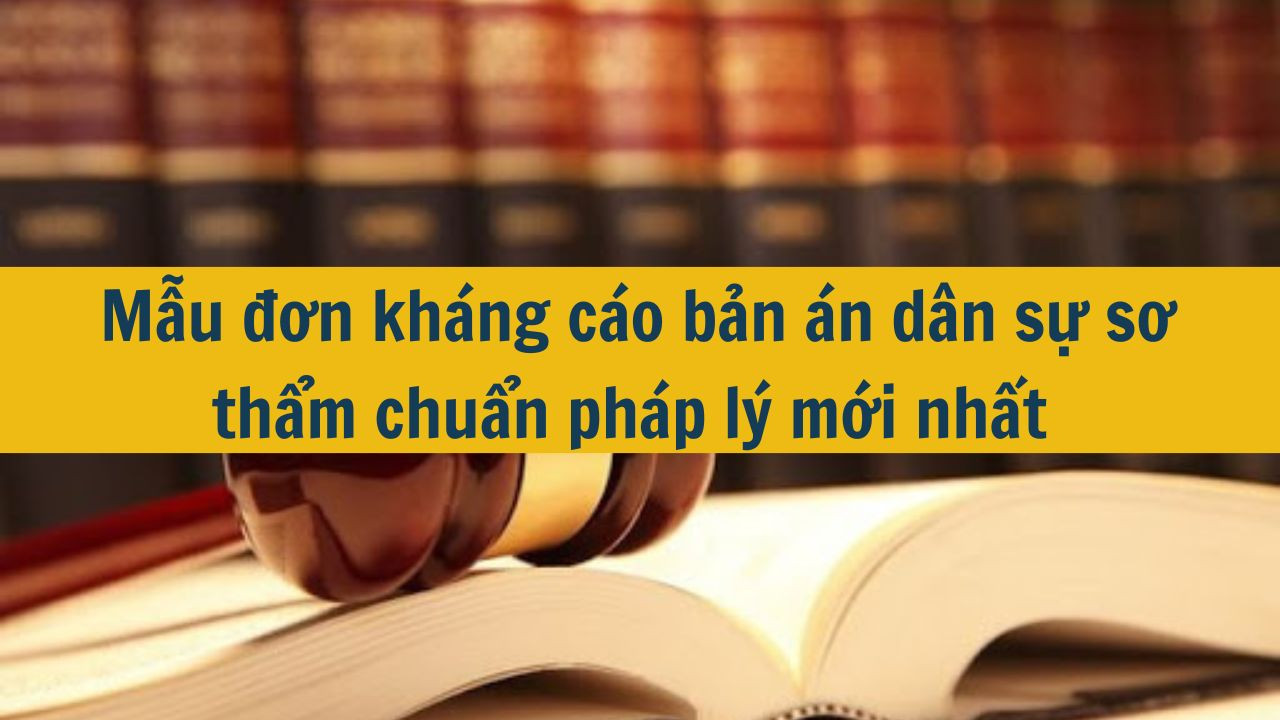 Mẫu đơn kh&aacute;ng c&aacute;o bản &aacute;n d&acirc;n sự sơ thẩm chuẩn ph&aacute;p l&yacute; mới nhất 2025 (ảnh 1)