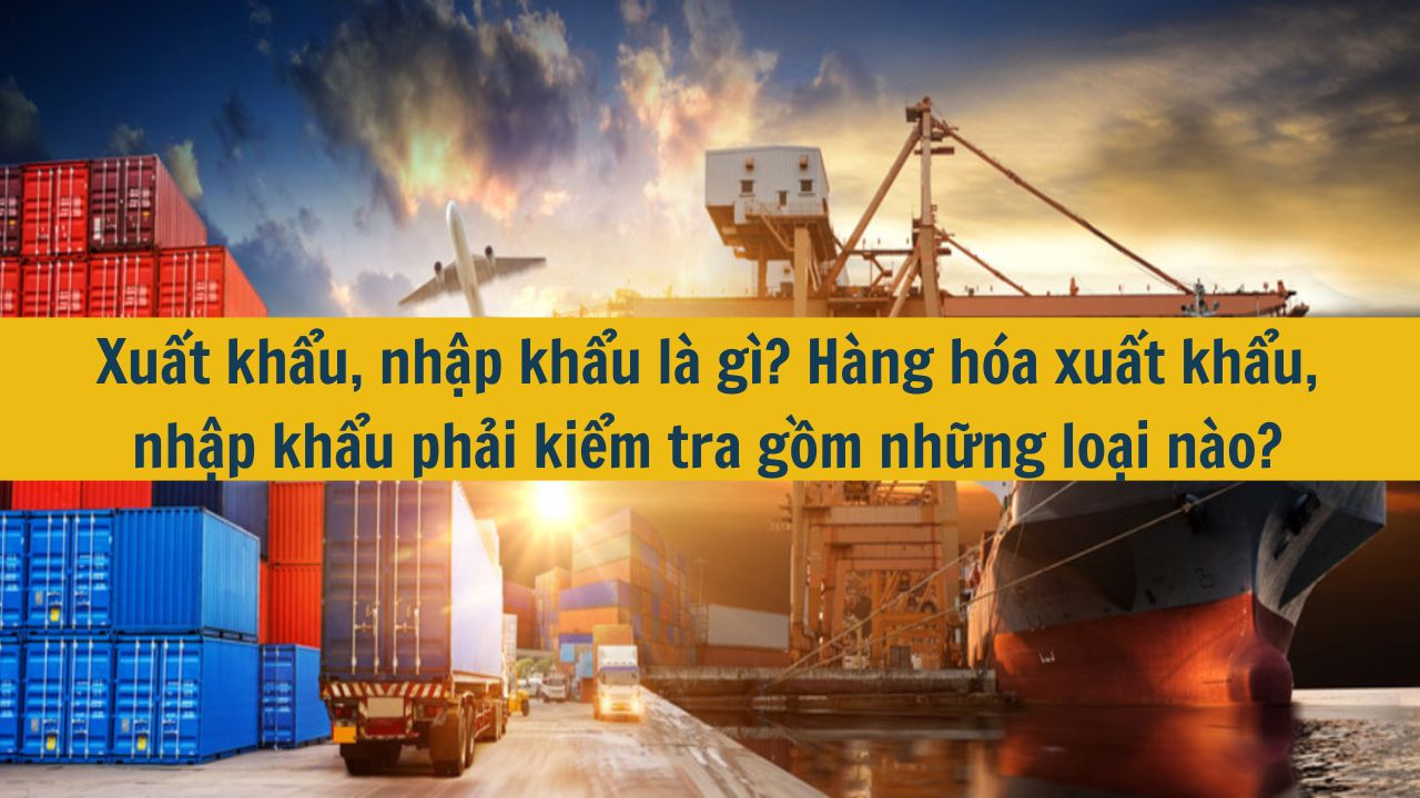 Xuất khẩu, nhập khẩu l&agrave; g&igrave;? H&agrave;ng h&oacute;a xuất khẩu, nhập khẩu phải kiểm tra gồm những loại n&agrave;o? (ảnh 1)