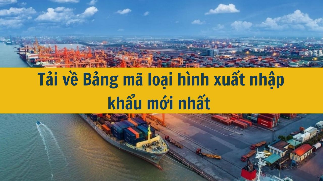 Tải về Bảng m&atilde; loại h&igrave;nh xuất nhập khẩu mới nhất 2025 (ảnh 1)