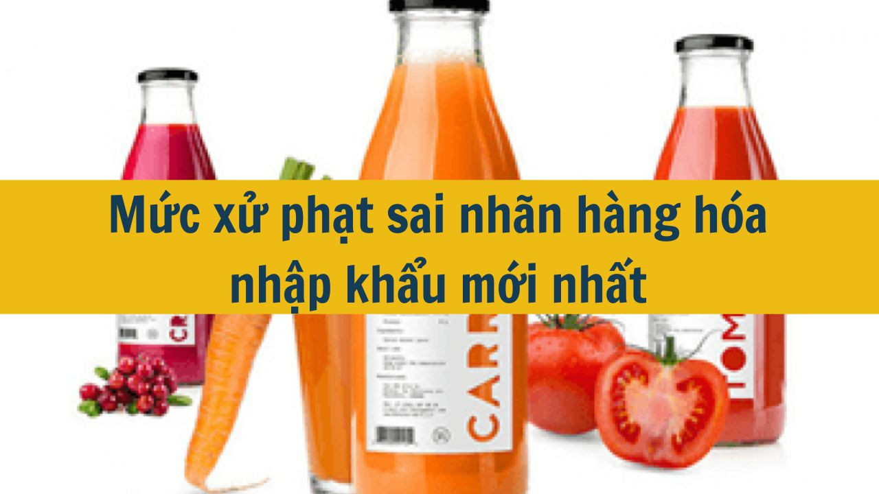 Mức xử phạt sai nh&atilde;n h&agrave;ng h&oacute;a nhập khẩu mới nhất 2025 bao nhi&ecirc;u? (ảnh 1)
