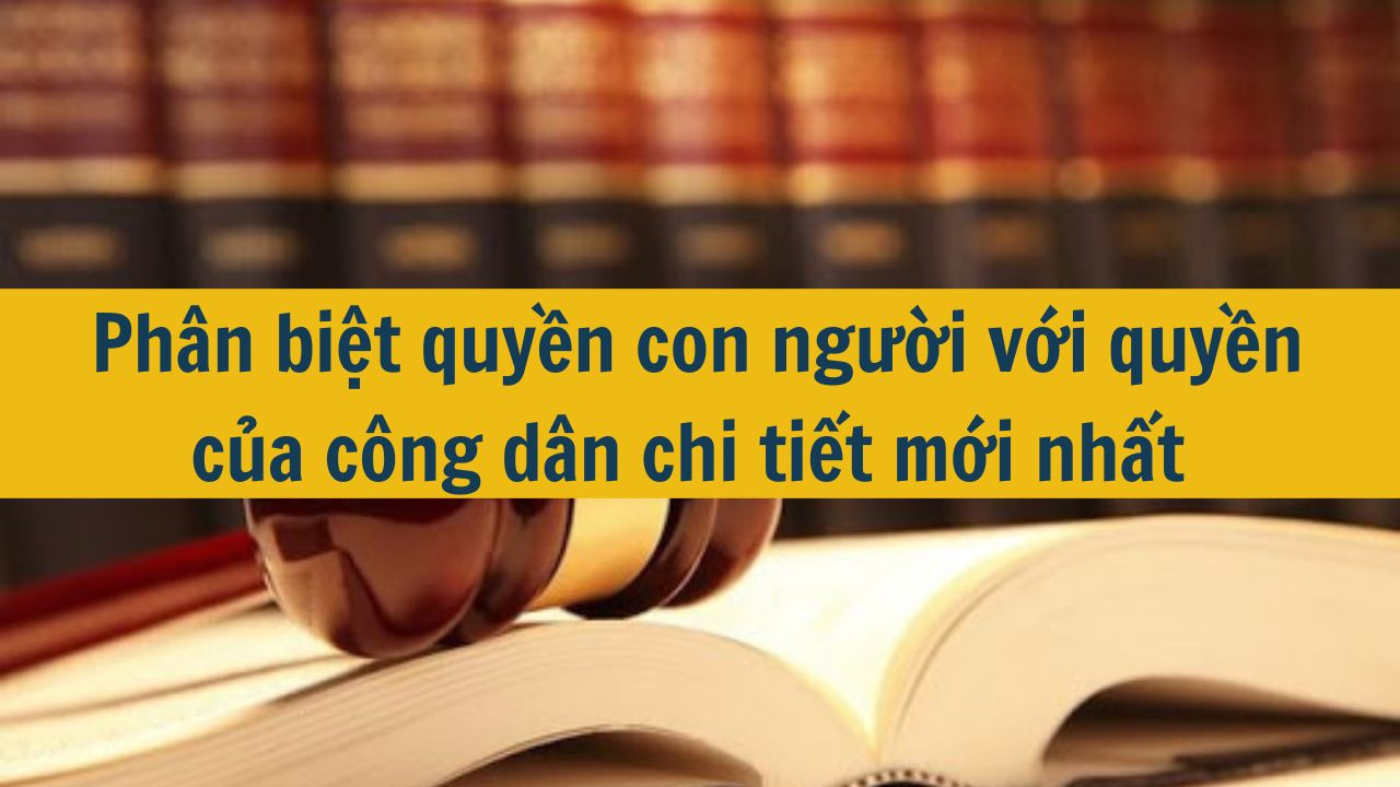 Ph&acirc;n biệt quyền con người với quyền của c&ocirc;ng d&acirc;n chi tiết mới nhất 2025 (ảnh 1)