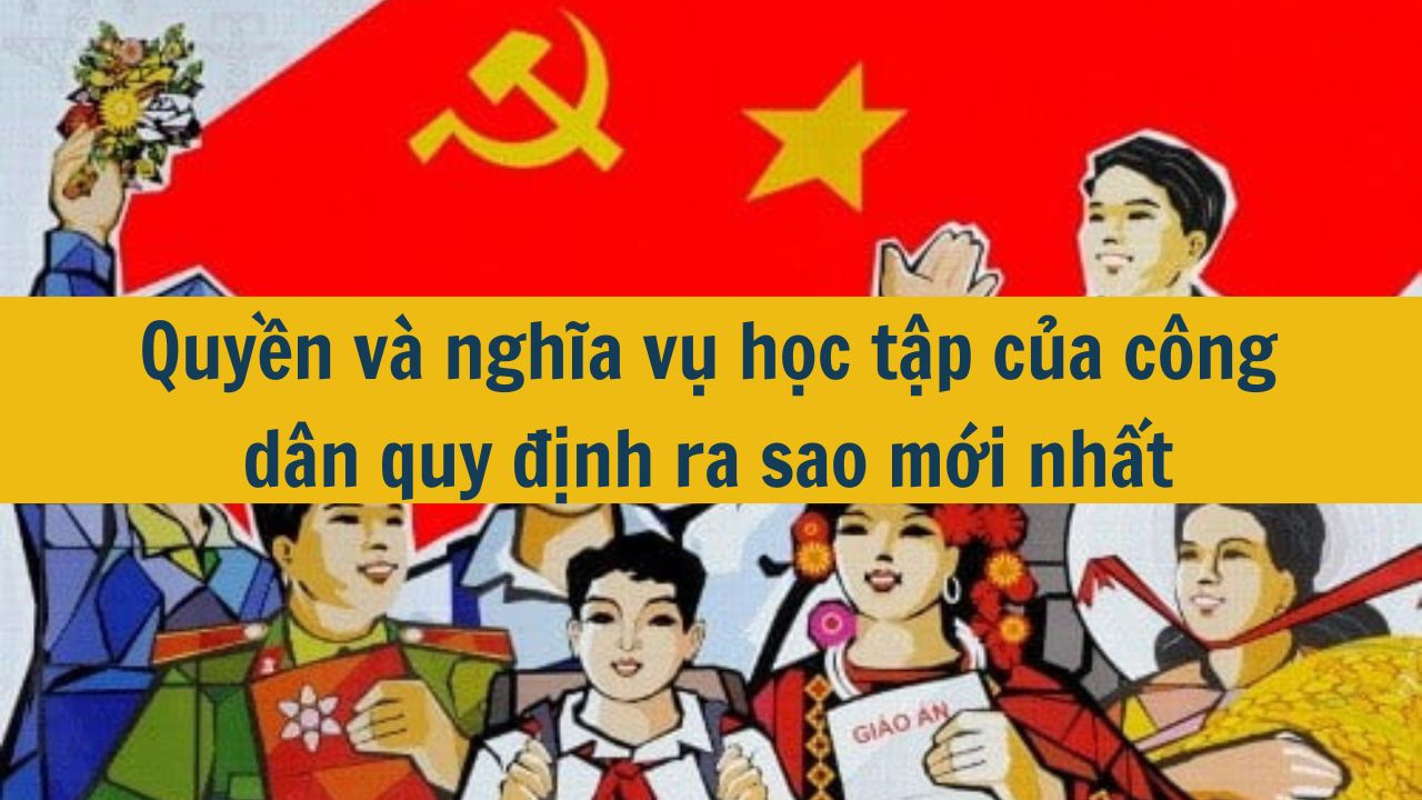 Quyền v&agrave; nghĩa vụ học tập của c&ocirc;ng d&acirc;n quy định ra sao mới nhất 2025? (ảnh 1)